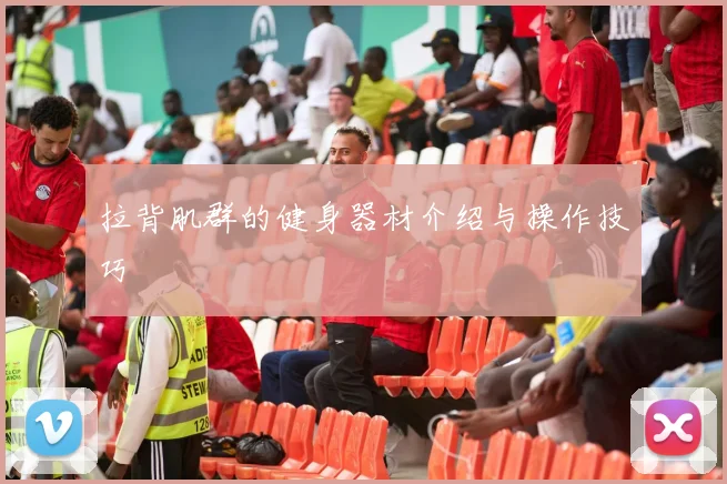 拉背肌群的健身器材介绍与操作技巧