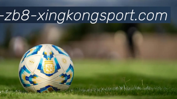 星空体育APP 封面图